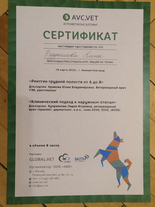 Документ или сертификат