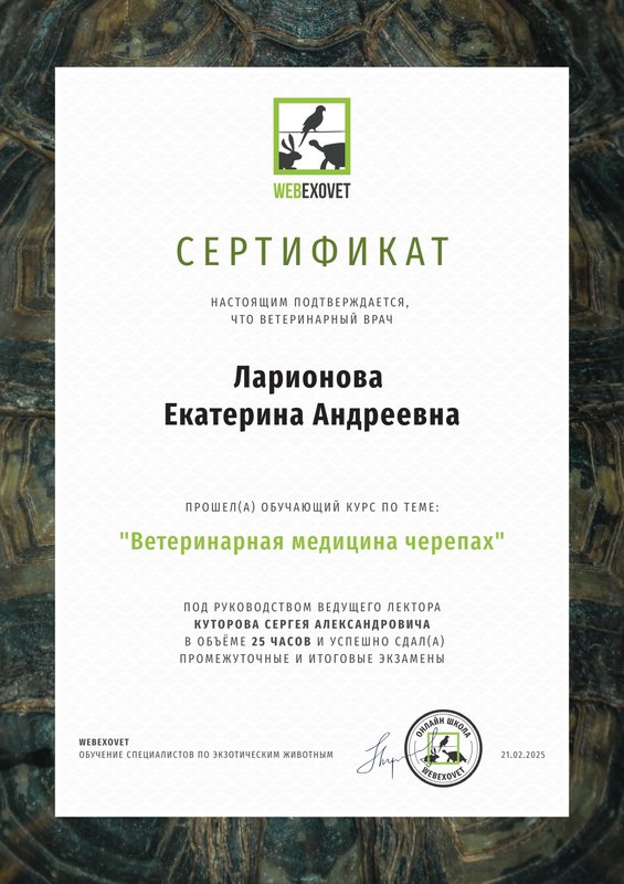 Документ или сертификат