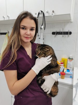 Фото врача Салофильева Алина Сергеевна