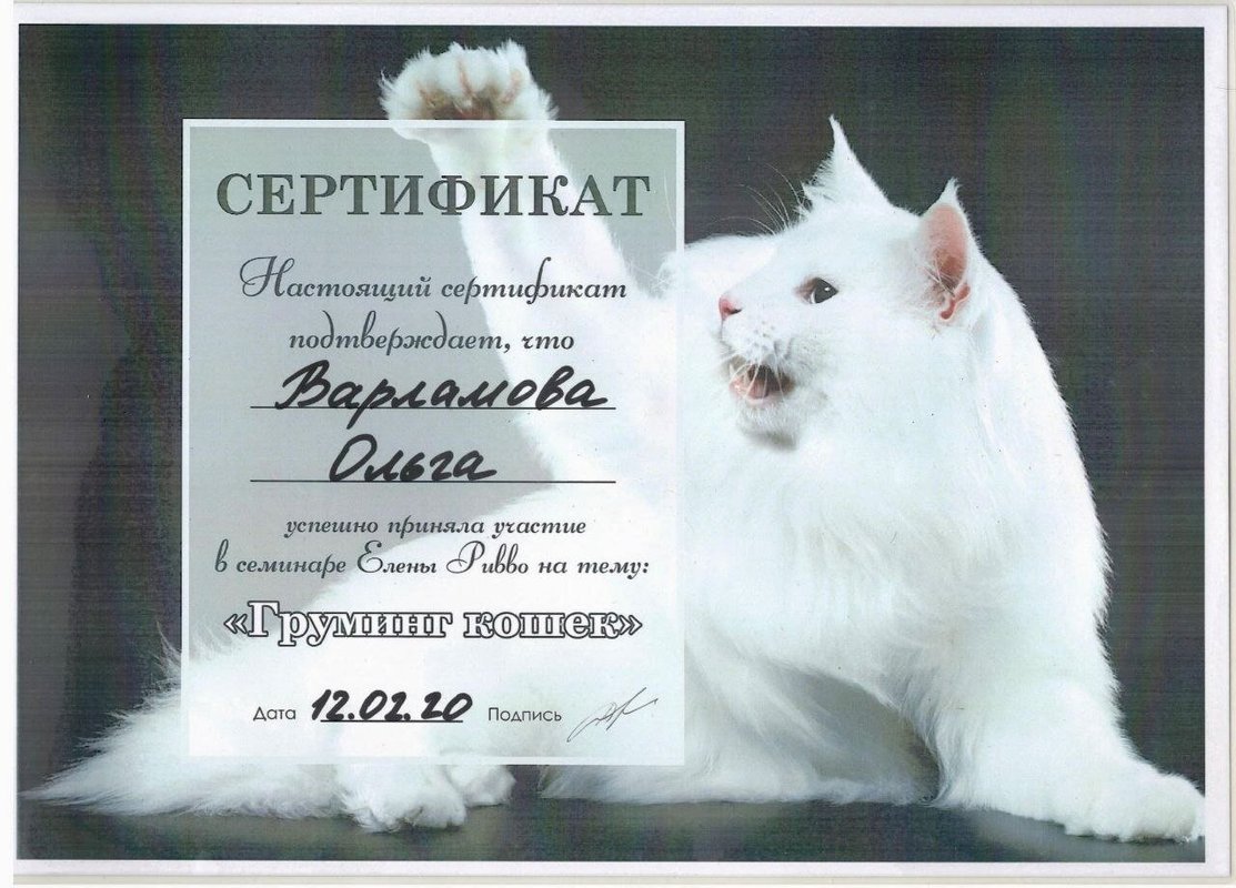 Документ или сертификат