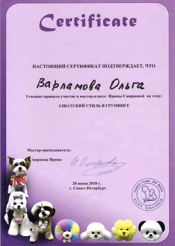 Документ или сертификат