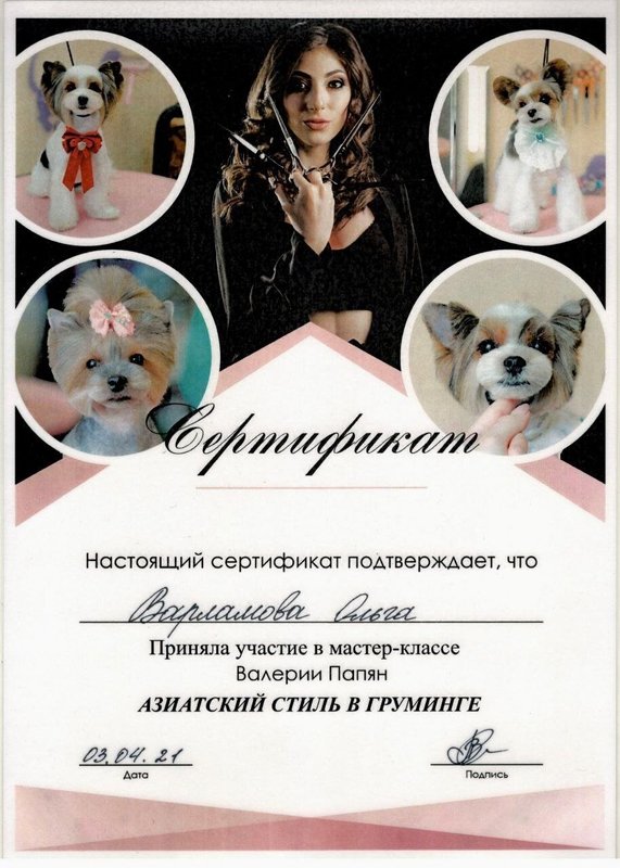 Документ или сертификат