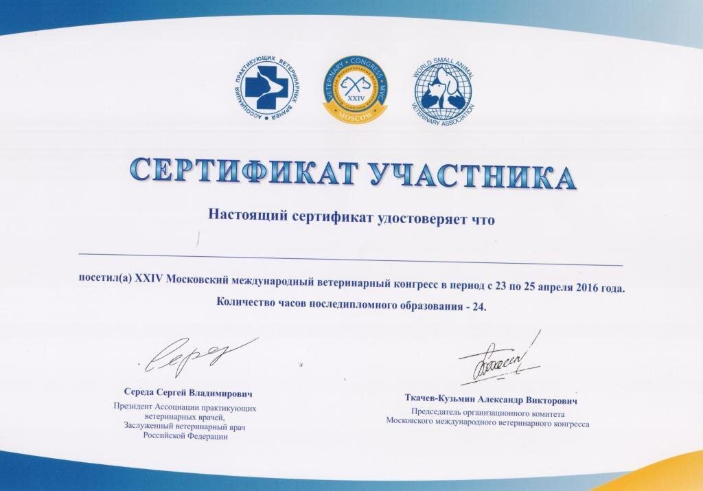 Документ или сертификат