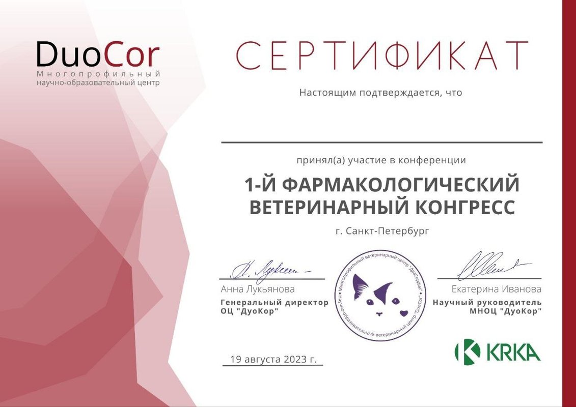 Документ или сертификат