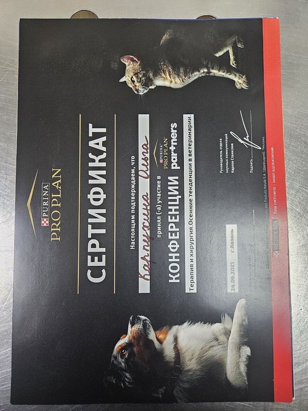 Документ или сертификат