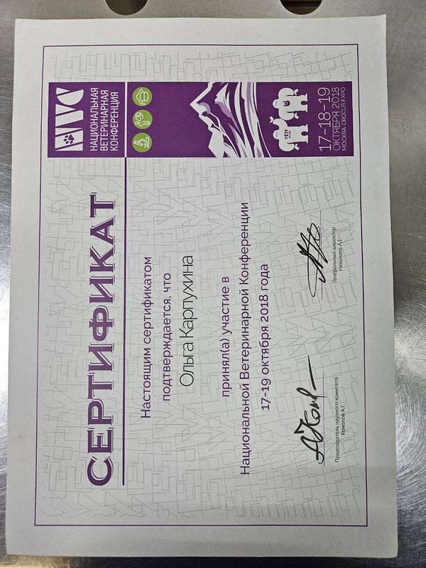 Документ или сертификат