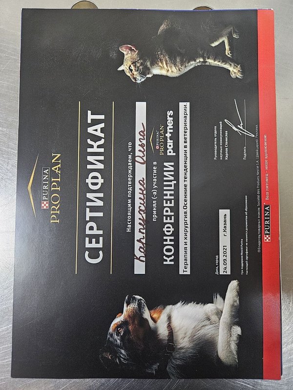 Документ или сертификат