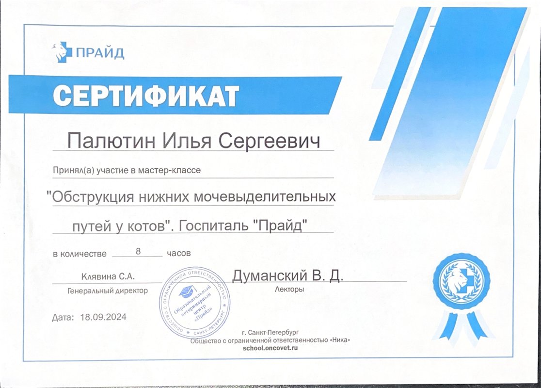 Документ или сертификат
