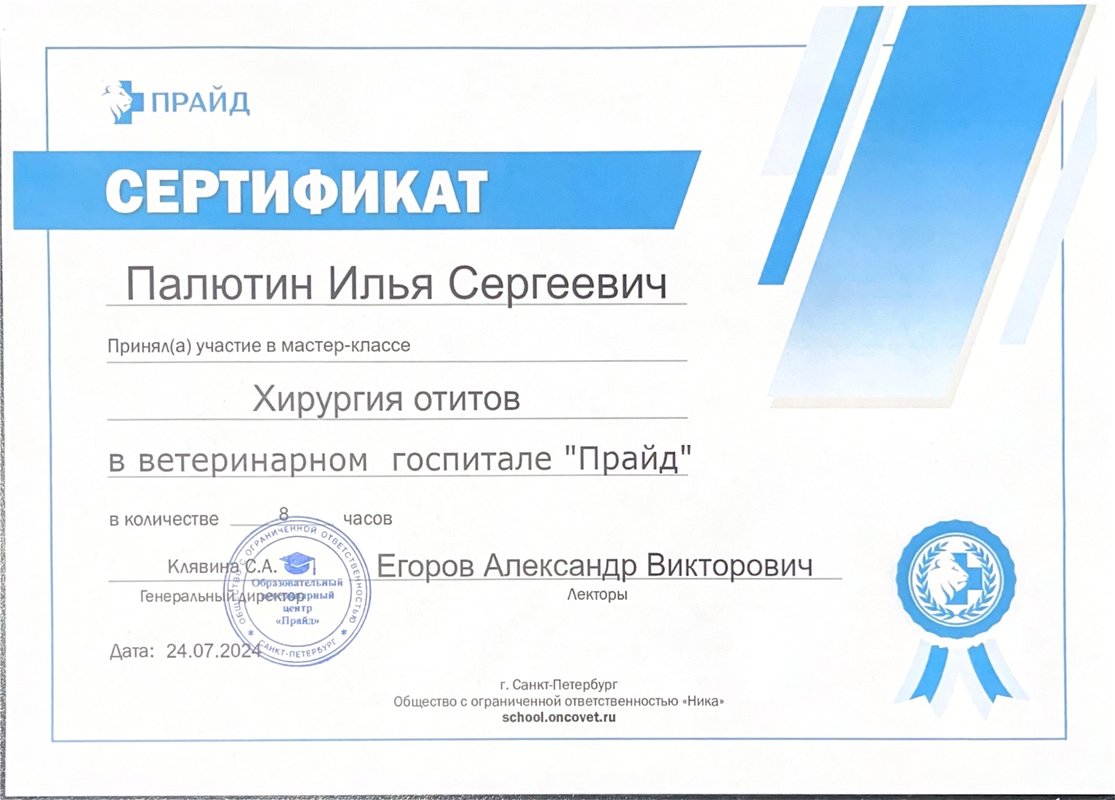 Документ или сертификат