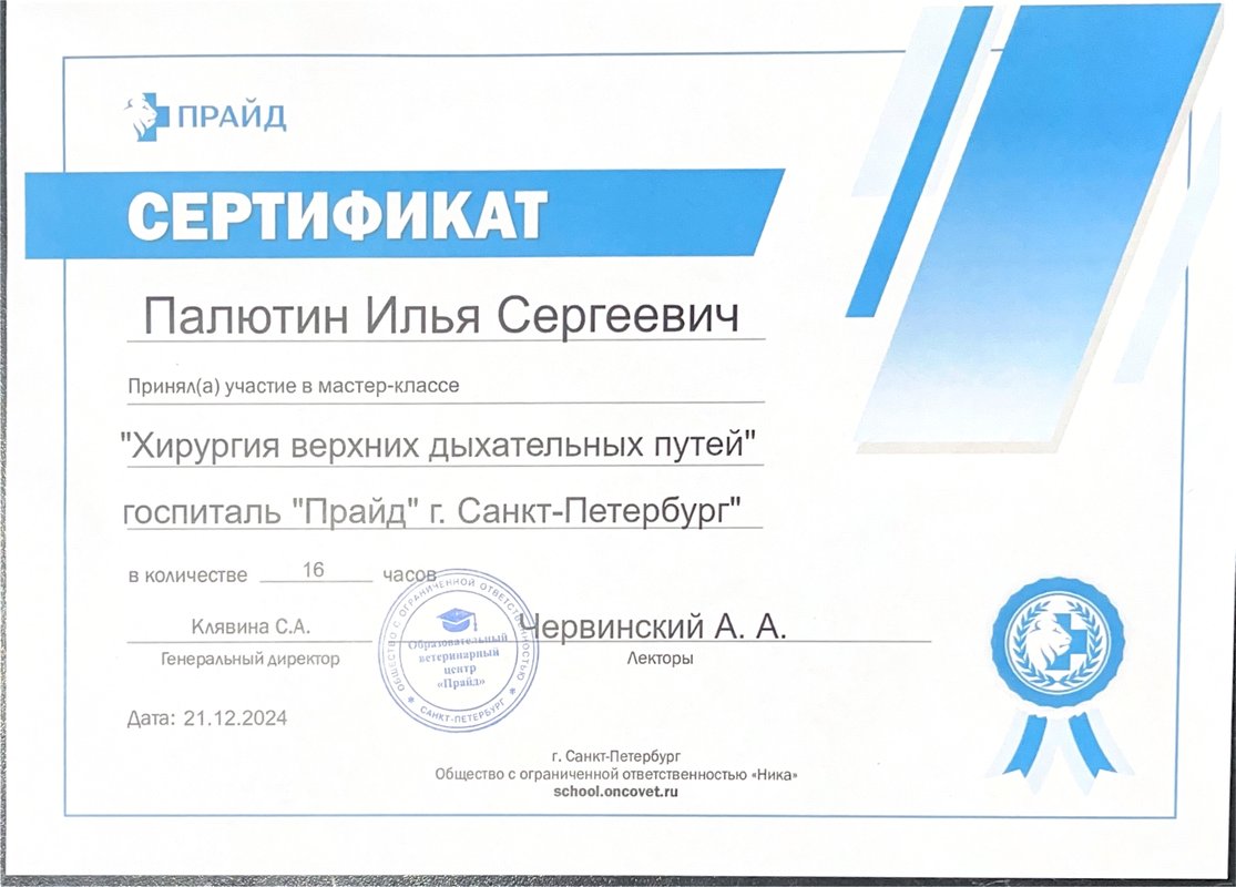 Документ или сертификат