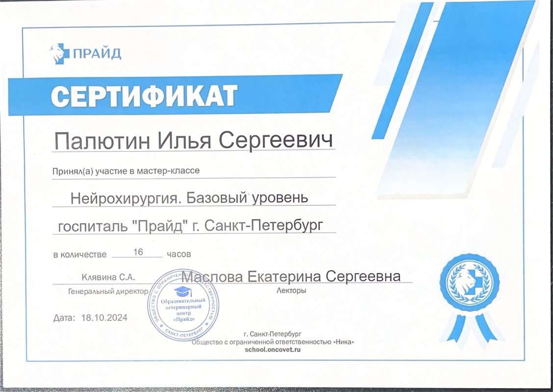 Документ или сертификат