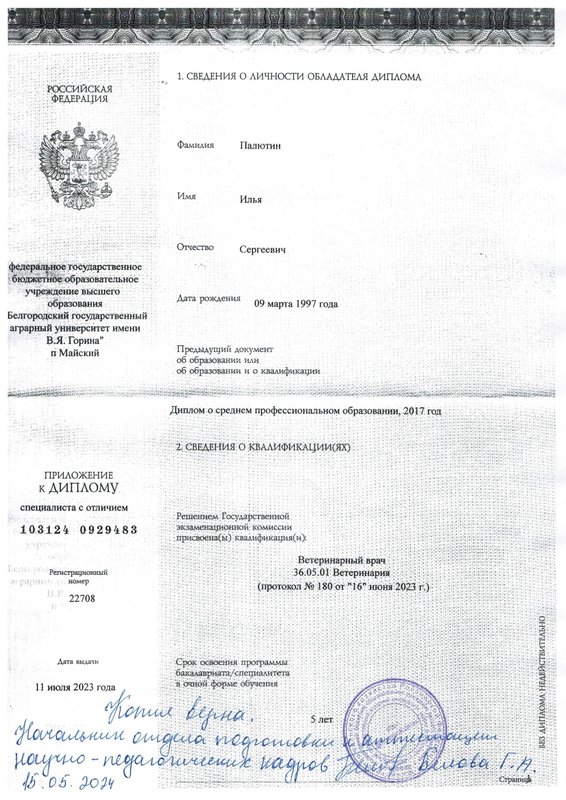 Документ или сертификат