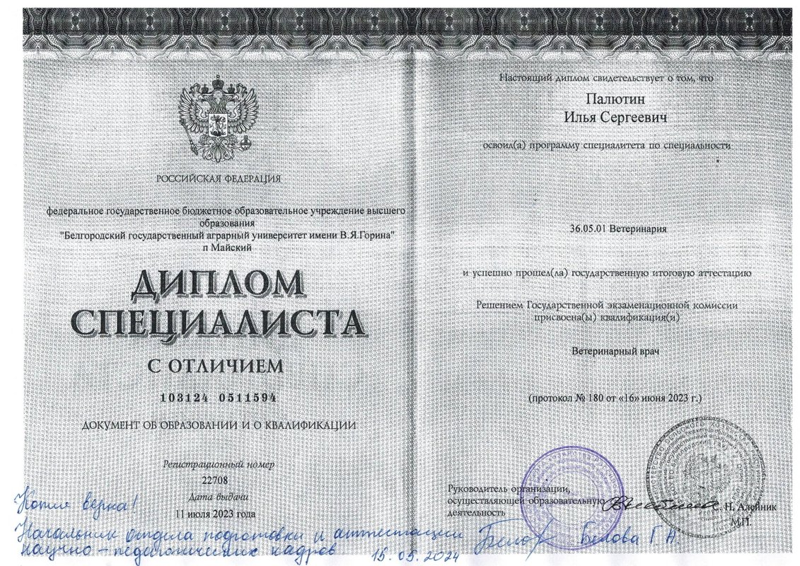 Документ или сертификат