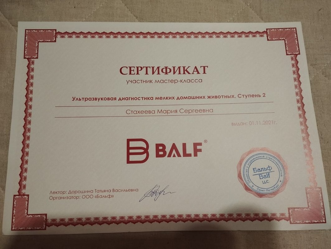 Документ или сертификат