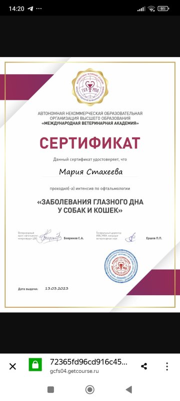 Документ или сертификат