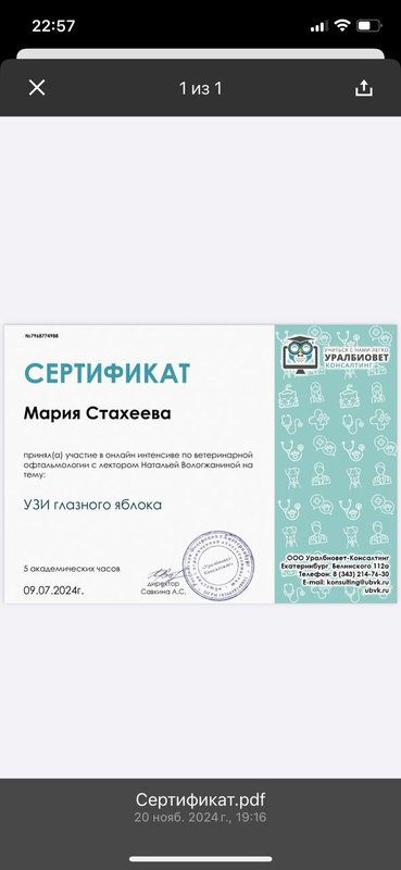 Документ или сертификат