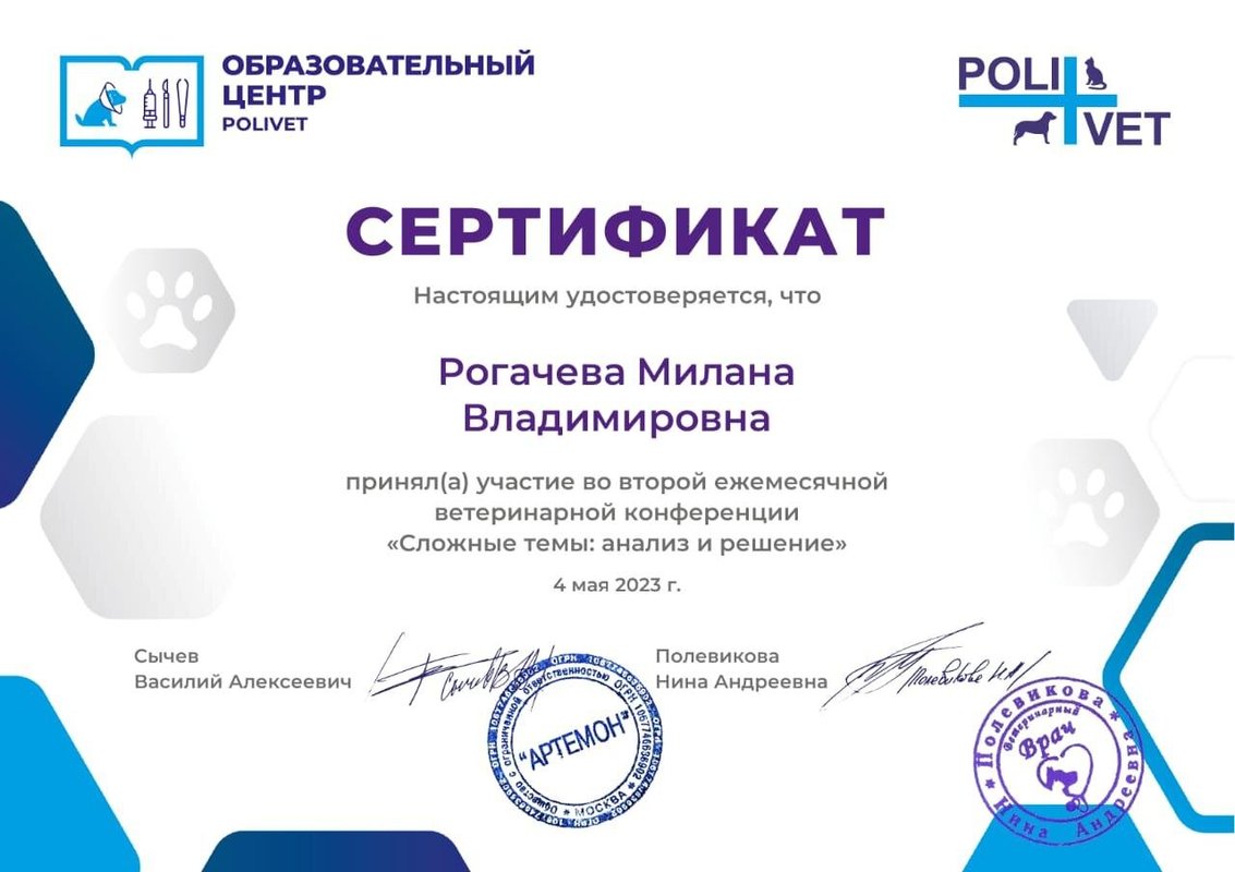Документ или сертификат