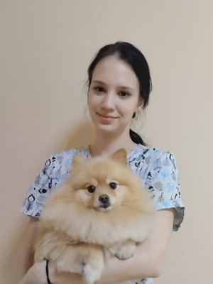 Фото врача Шевчак Карина Анатольевна