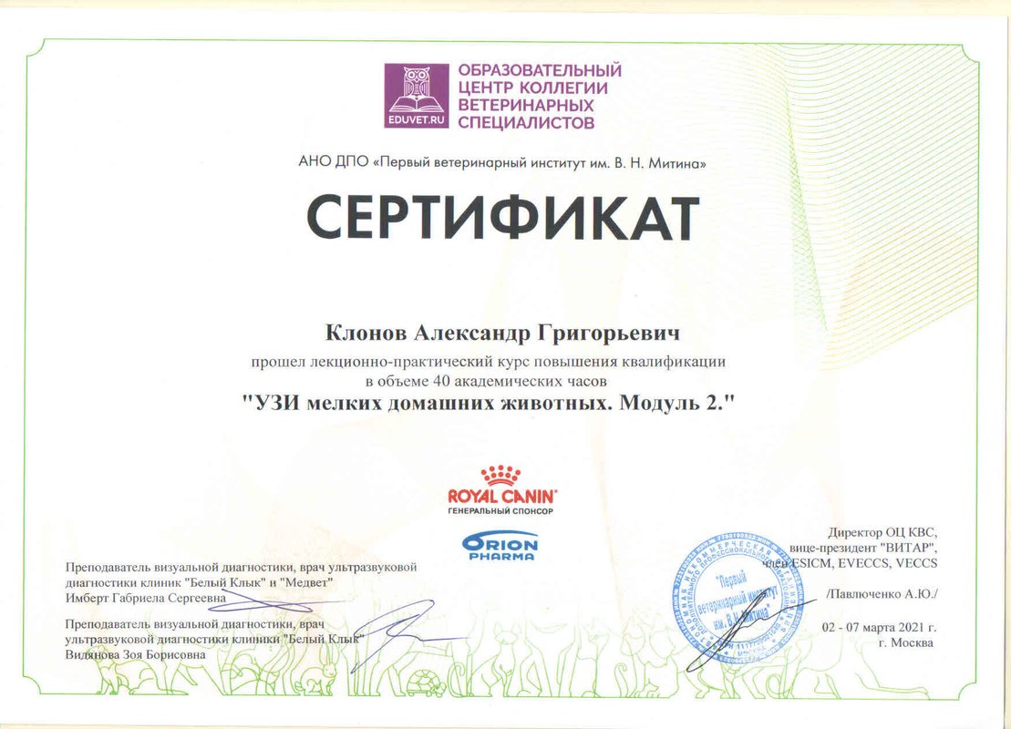 Документ или сертификат