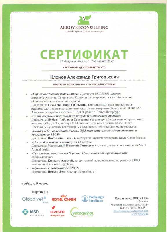 Документ или сертификат