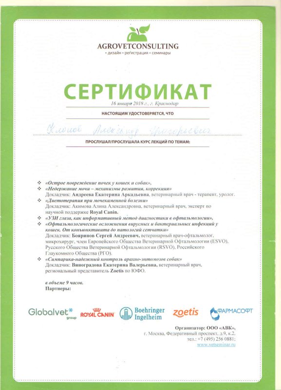 Документ или сертификат
