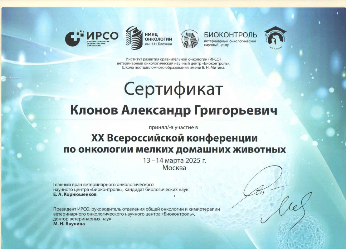 Документ или сертификат