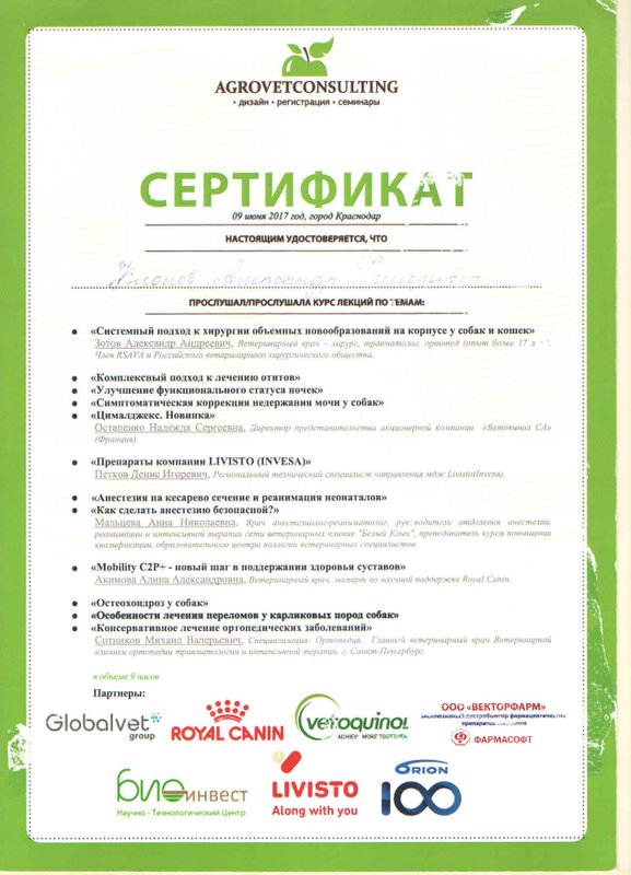 Документ или сертификат