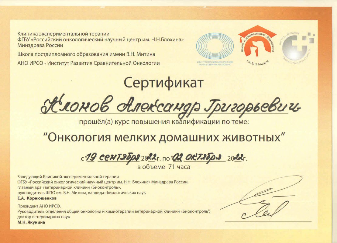 Документ или сертификат