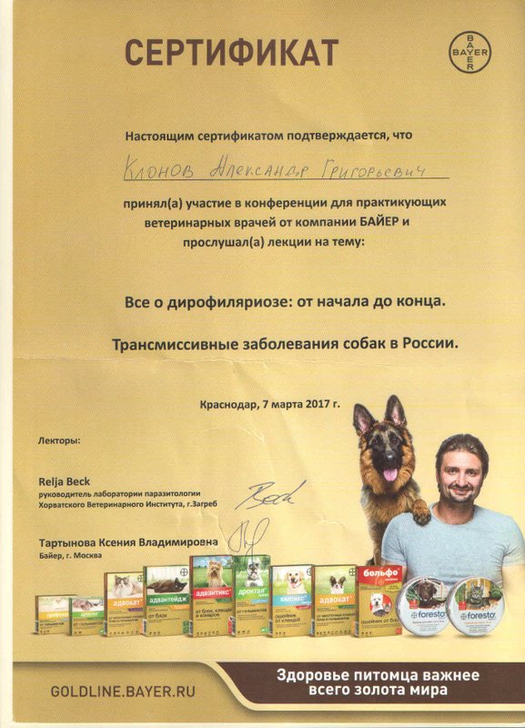 Документ или сертификат