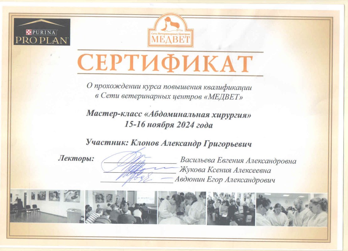 Документ или сертификат