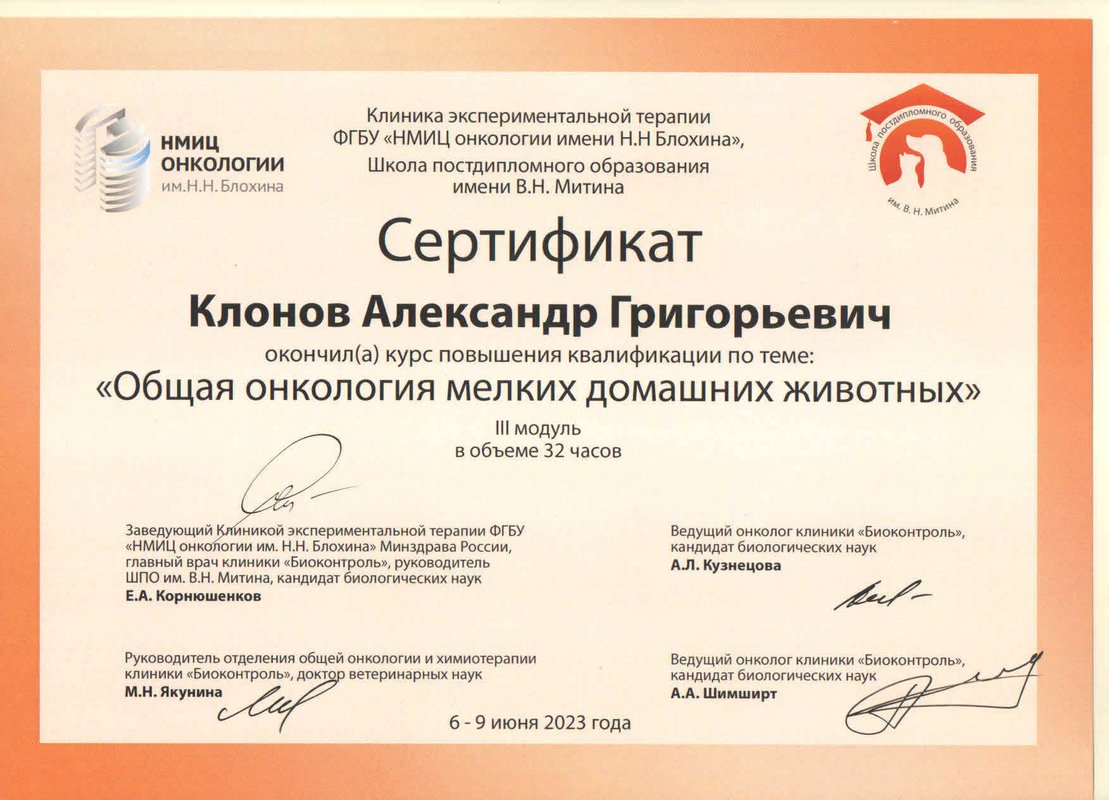 Документ или сертификат