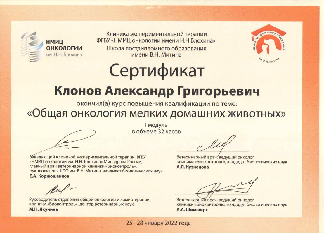 Документ или сертификат