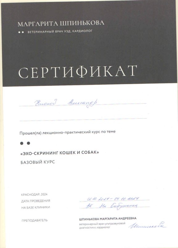 Документ или сертификат