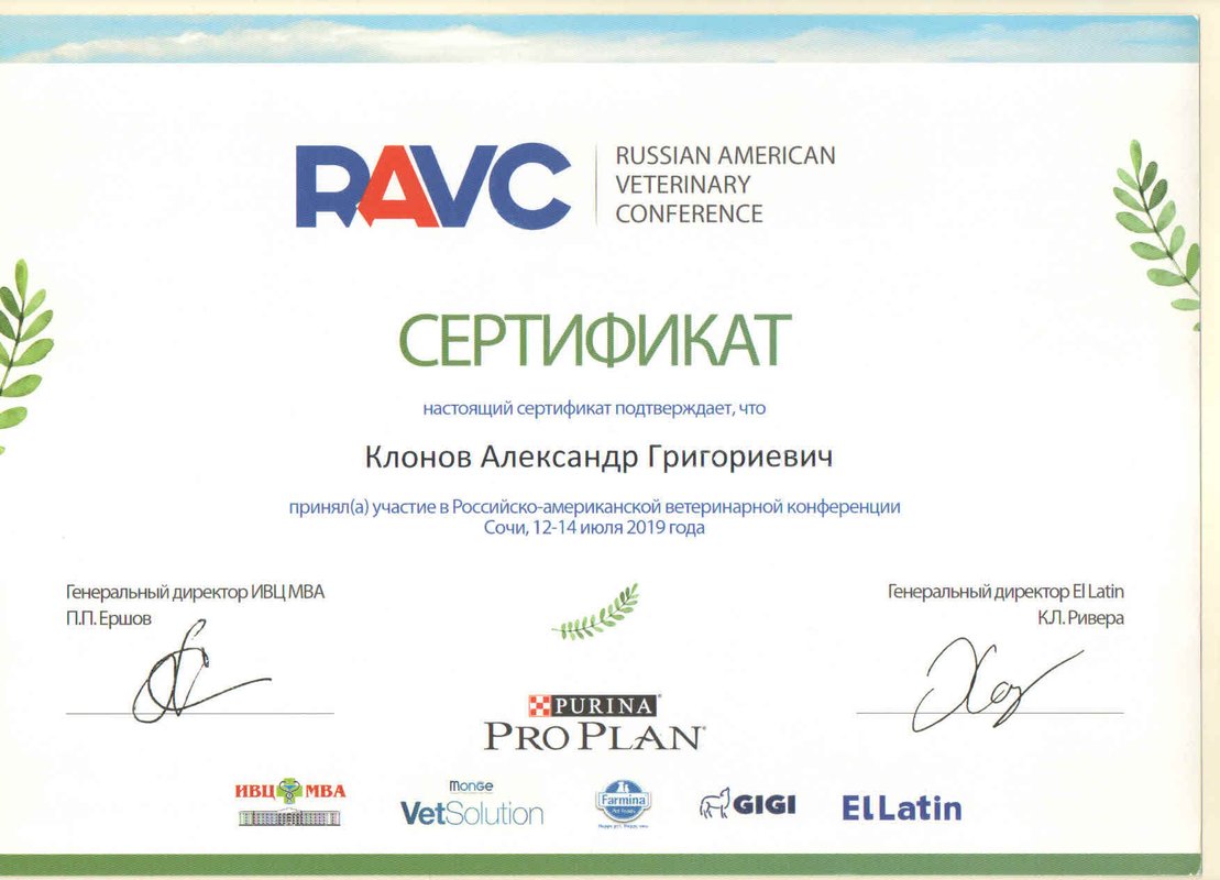 Документ или сертификат