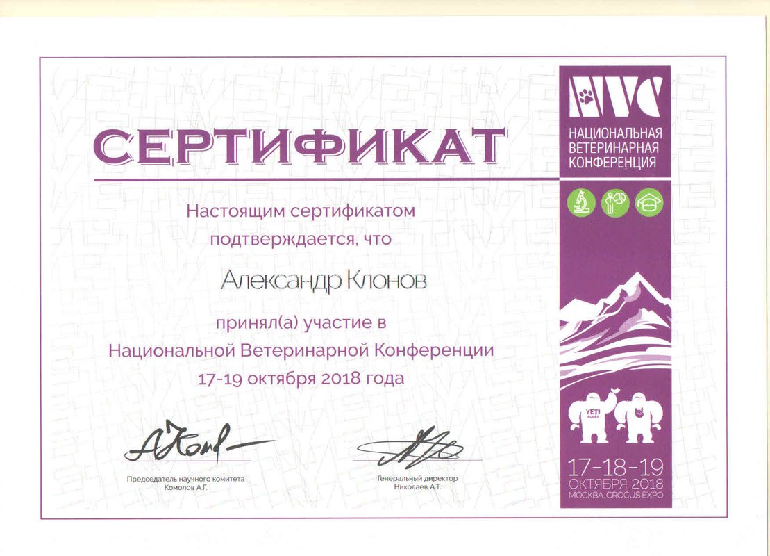 Документ или сертификат