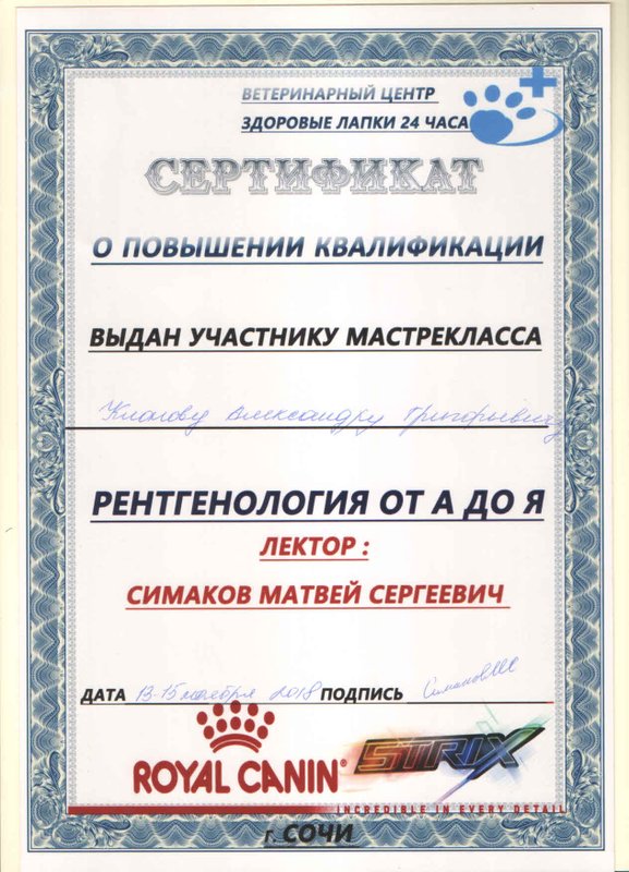 Документ или сертификат
