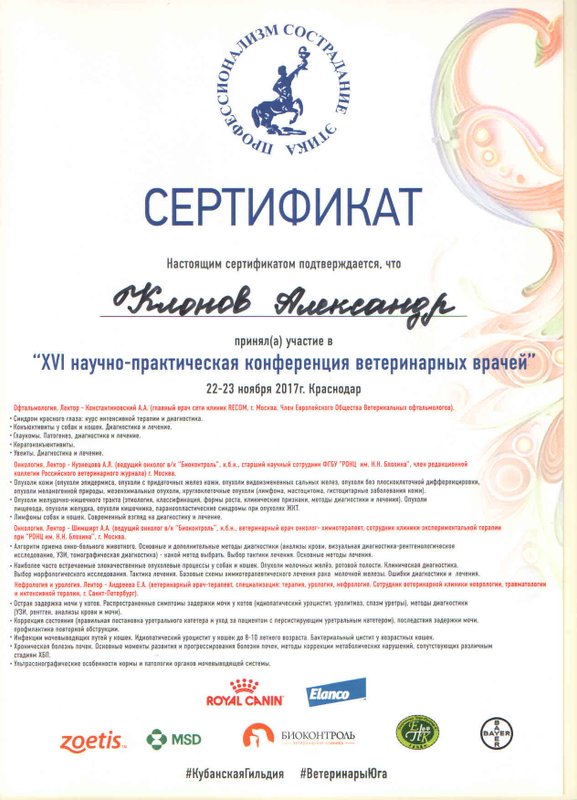 Документ или сертификат