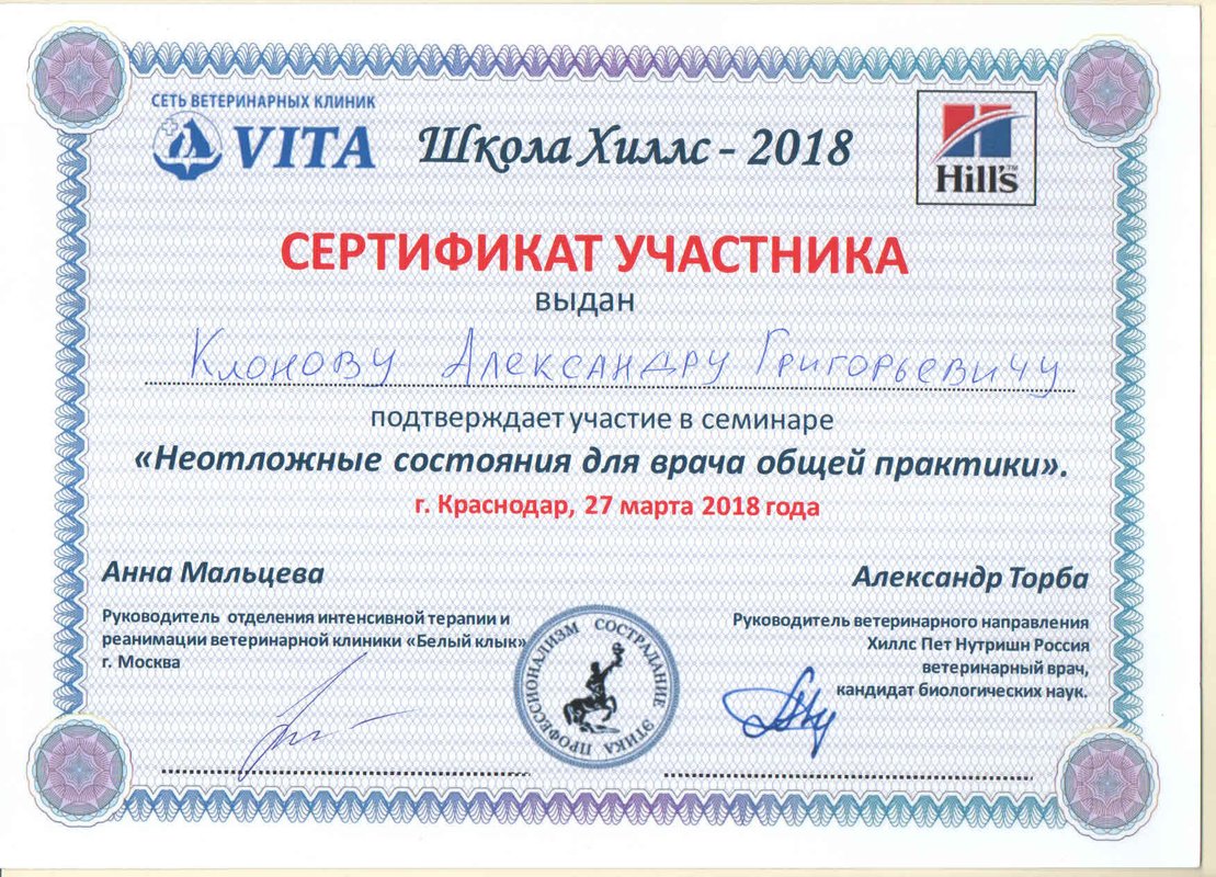 Документ или сертификат
