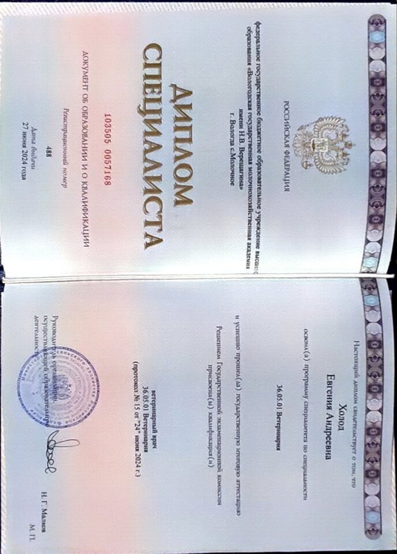 Документ или сертификат