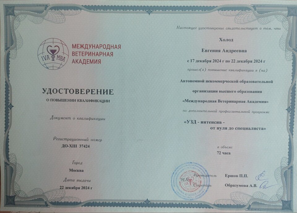 Документ или сертификат