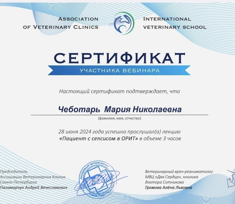 Документ или сертификат