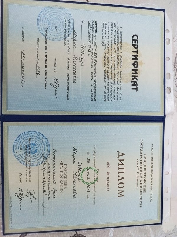 Документ или сертификат
