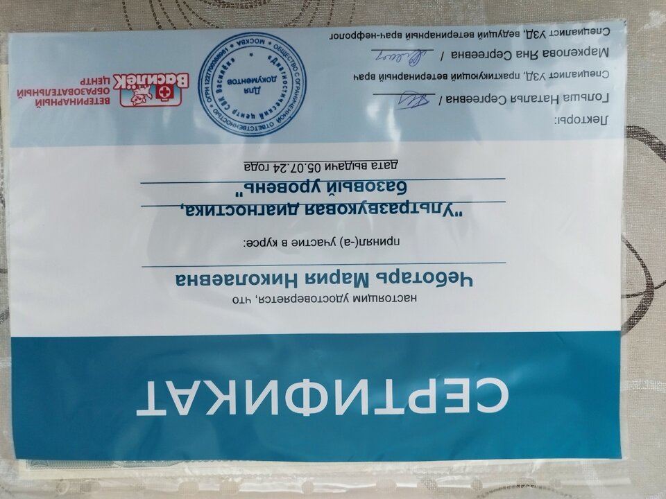 Документ или сертификат