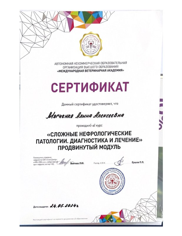Документ или сертификат