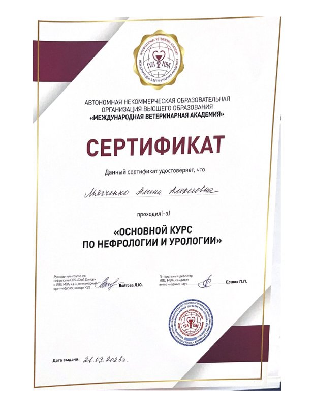 Документ или сертификат