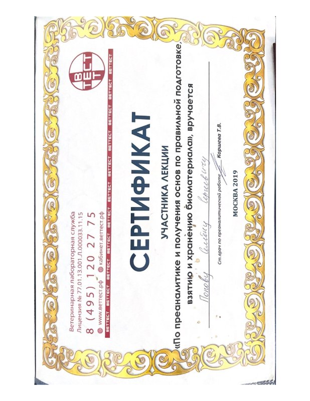 Документ или сертификат