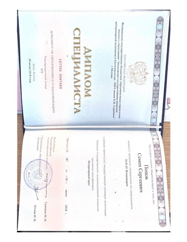 Документ или сертификат