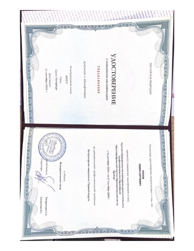 Документ или сертификат