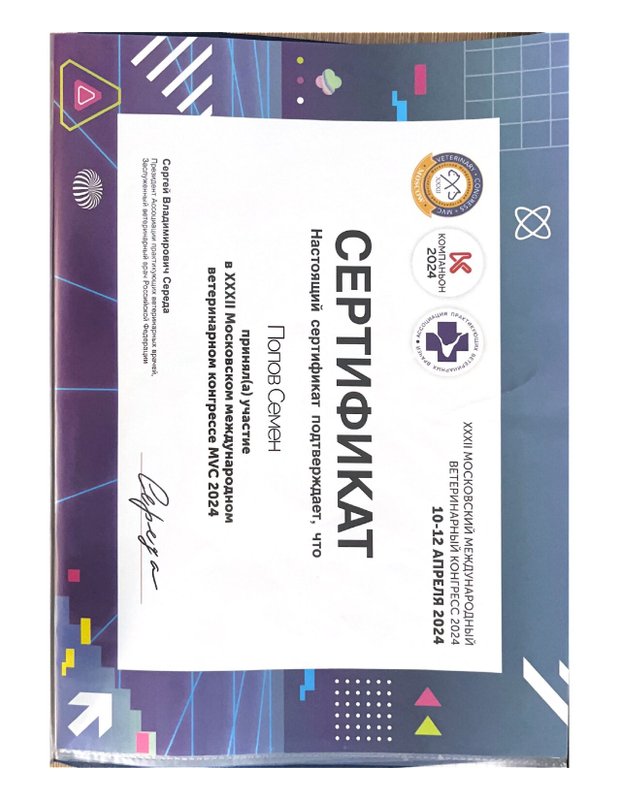 Документ или сертификат