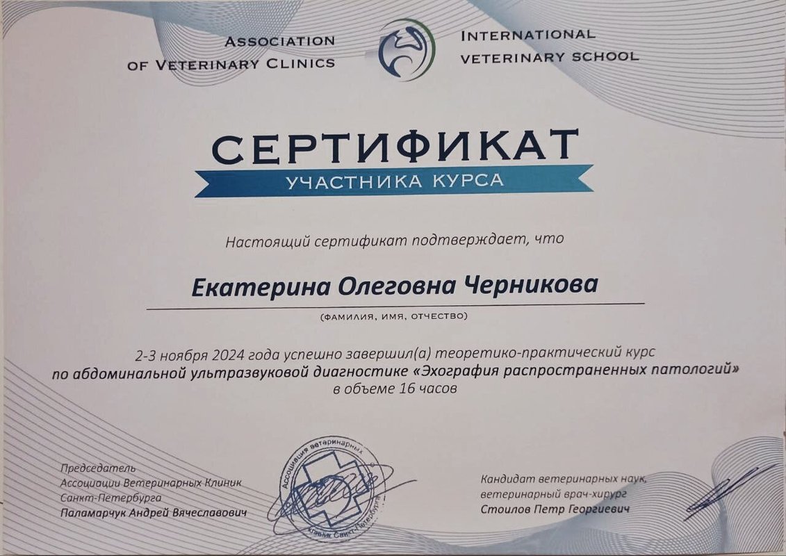 Документ или сертификат